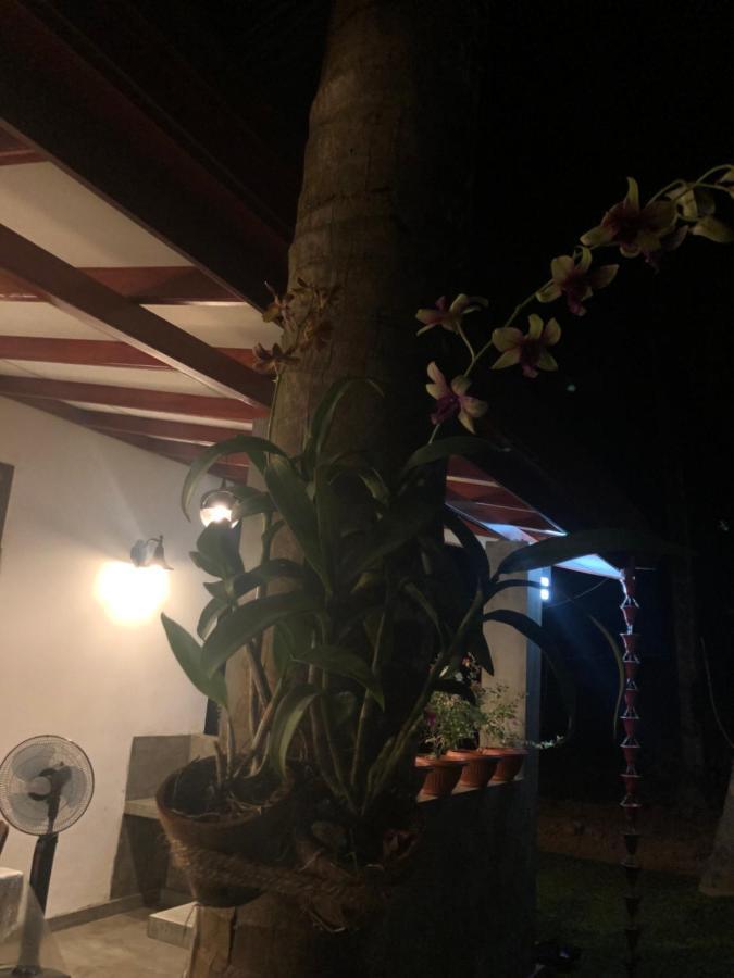 Lohas Villa Hiriketiya ديكويلاّ تين المظهر الخارجي الصورة