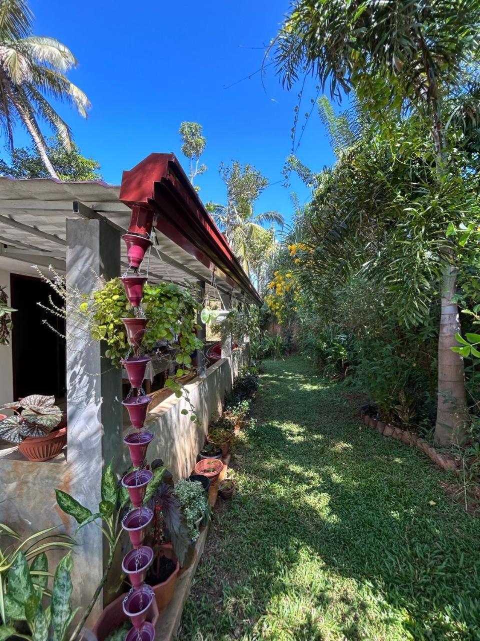 Lohas Villa Hiriketiya ديكويلاّ تين المظهر الخارجي الصورة